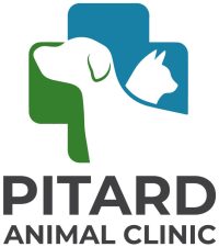 pitard
